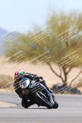 media/May-12-2024-SoCal Trackdays (Sun) [[ad755dc1f9]]/10-Turn 4 Tree of Life (1120am)/